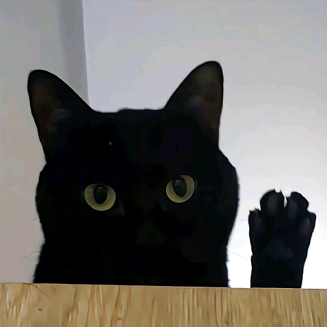 官锦