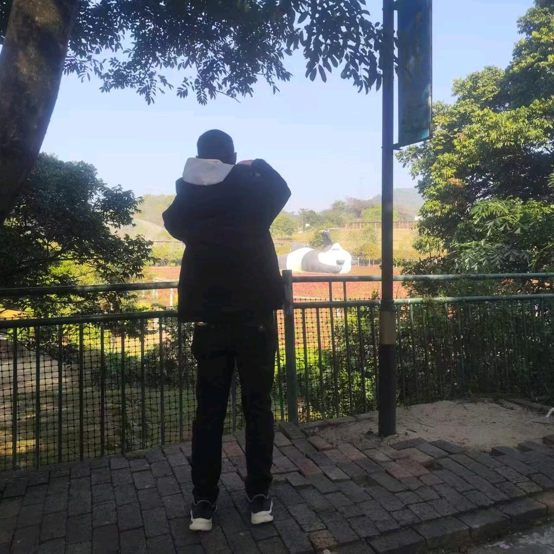 羽佳时刻