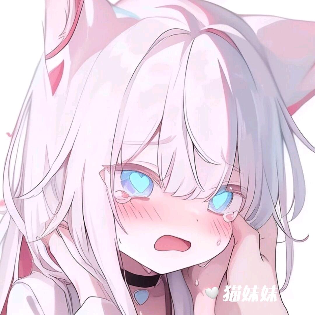 暴走猫咪🍭
