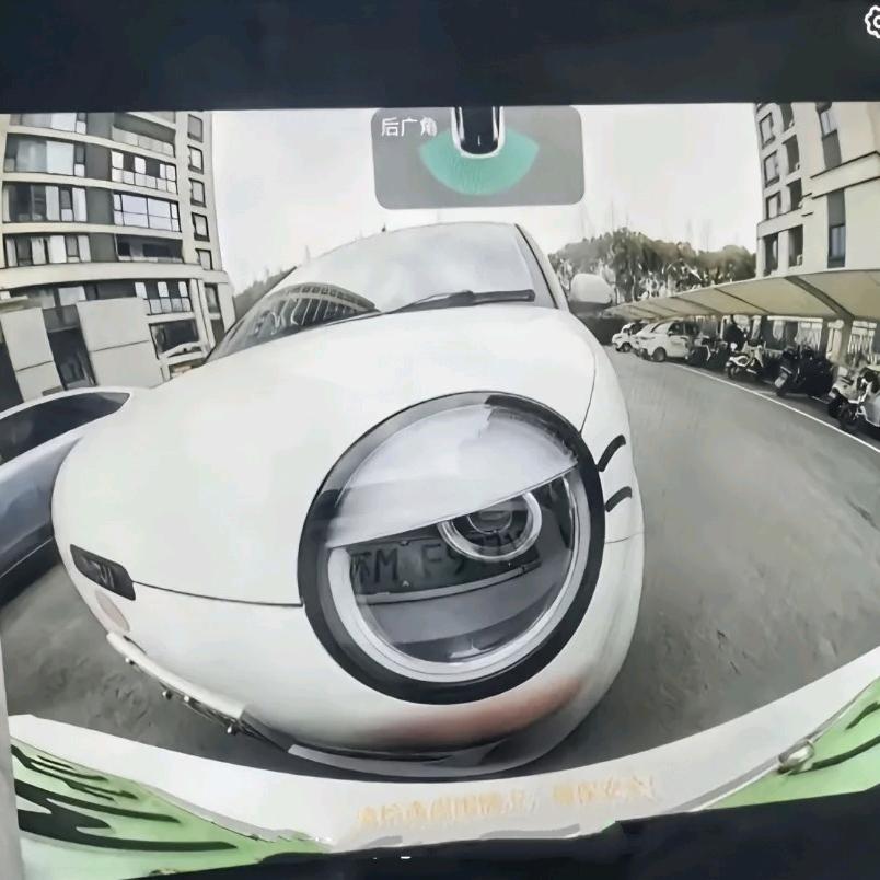 邪恶“糯玉米”