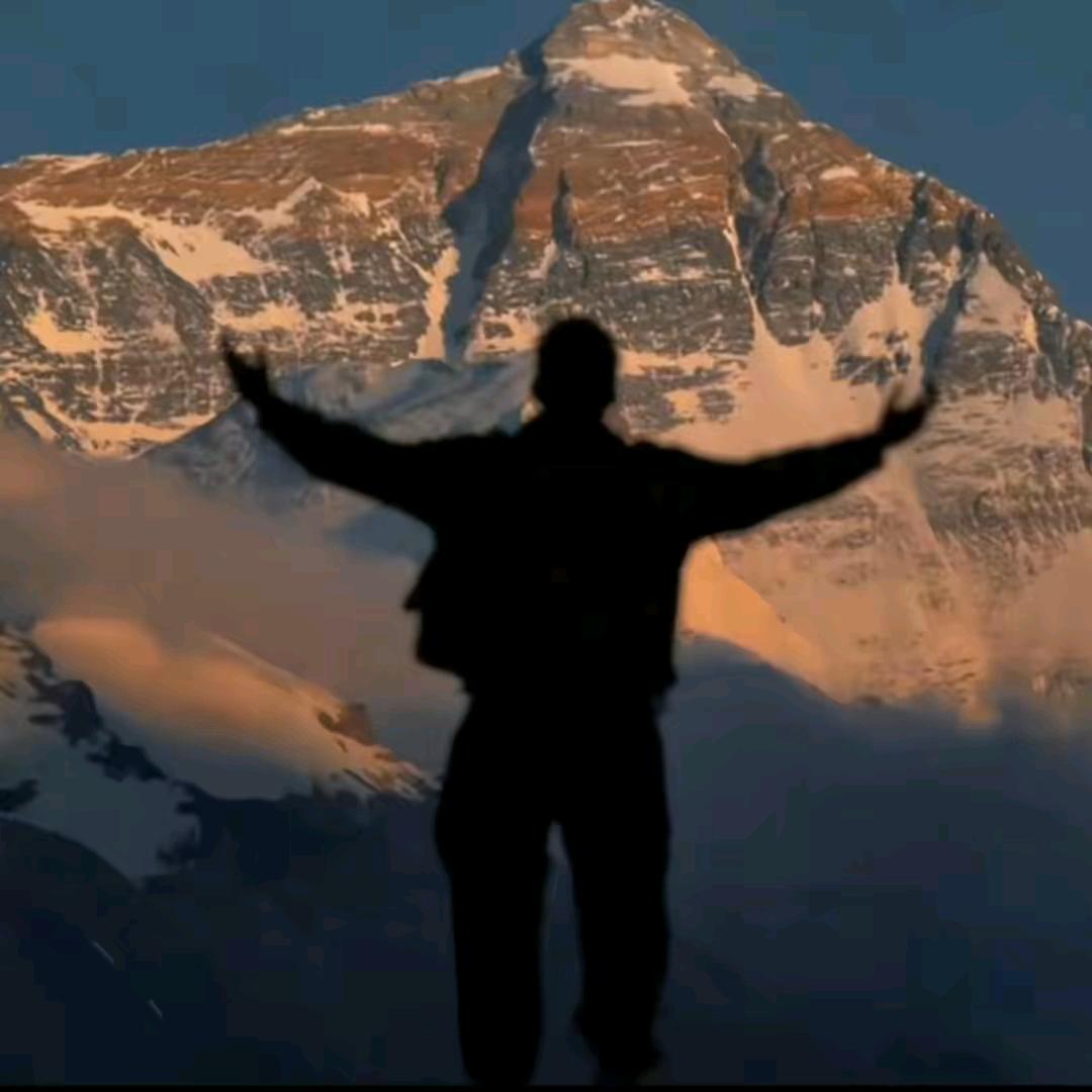 爱情杀不死我对自由意志得向往