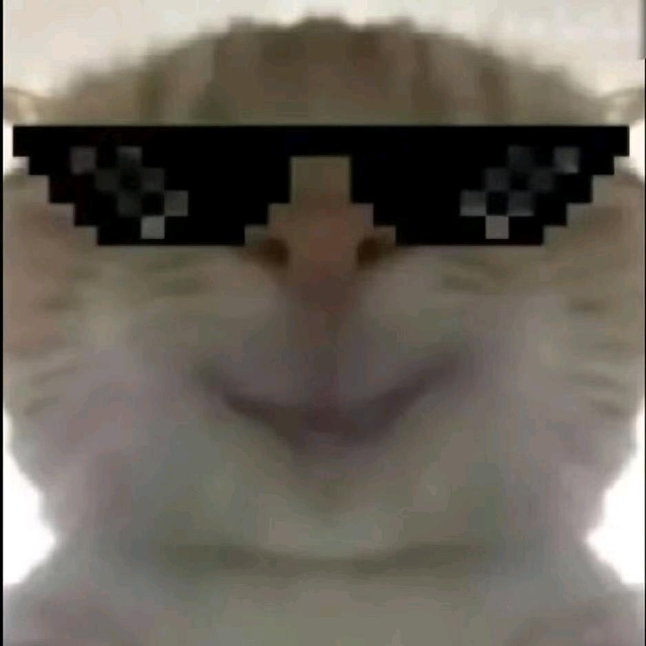 哈基铭（人民的商行）