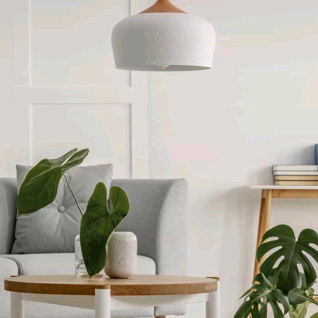 🌈车大炮²⁵⁰²