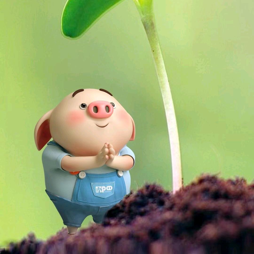 笑看风云（好物在厨窗）