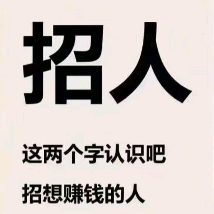 光照会