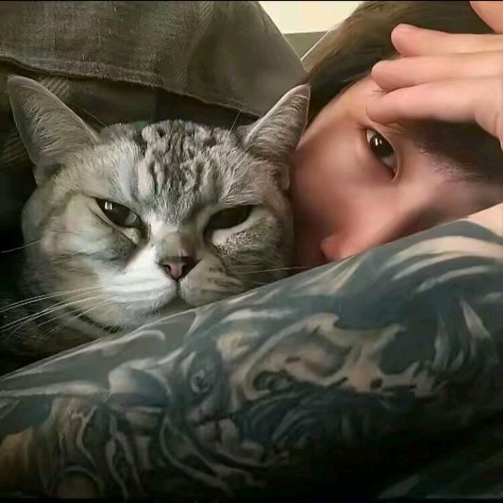 猫❕