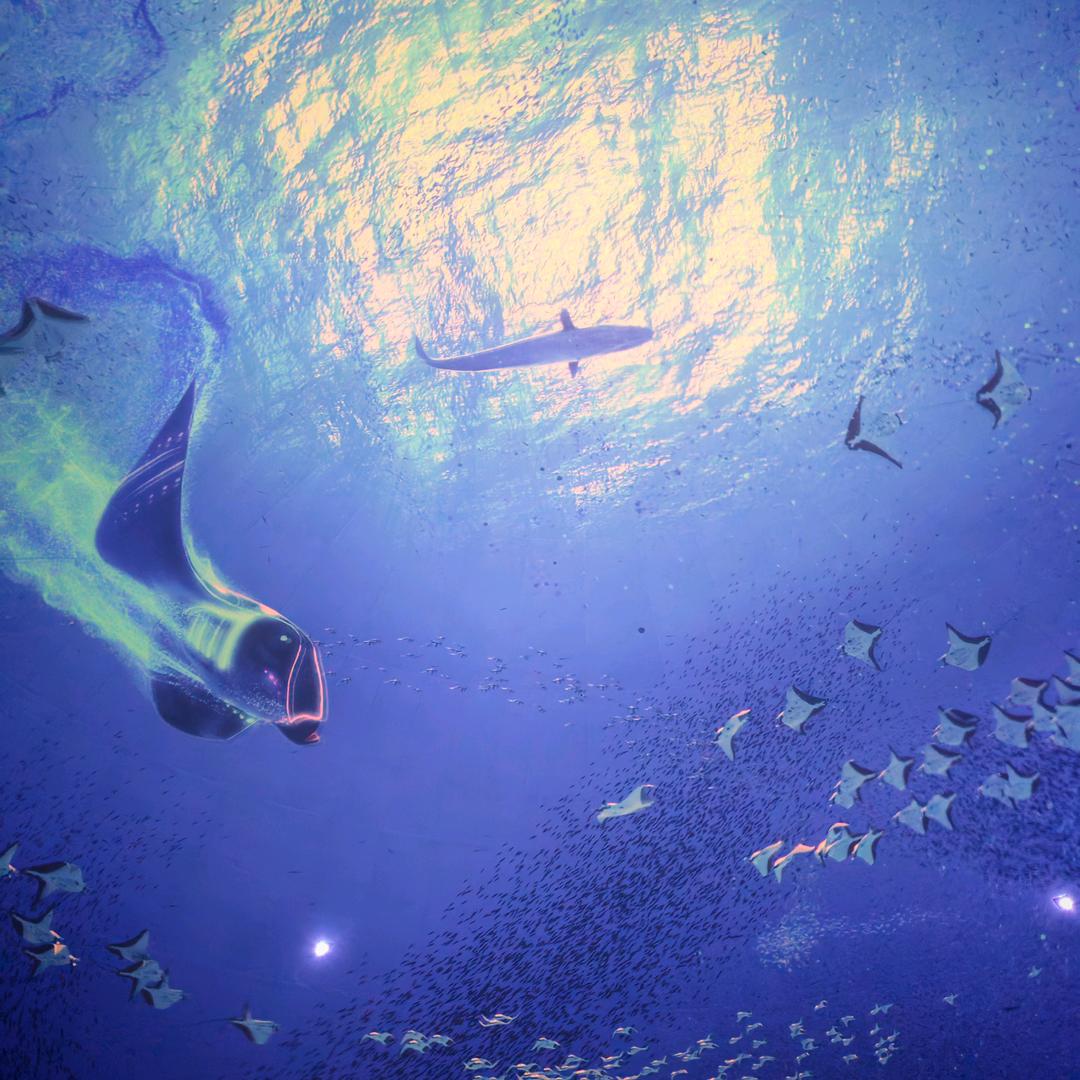 宇视/阿宇 拼接屏^监视器河北运营中心