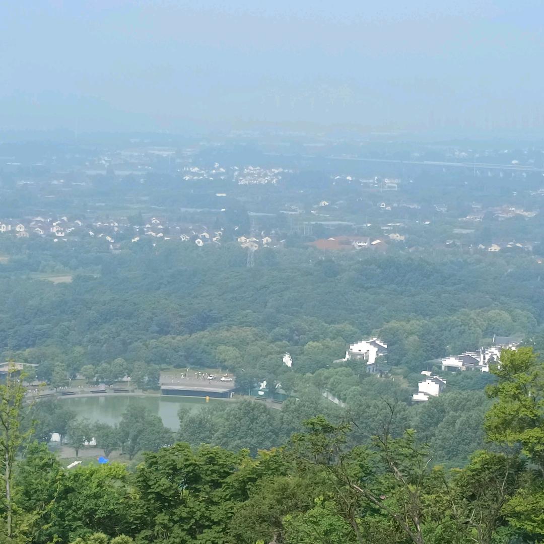 势.开心果      忄