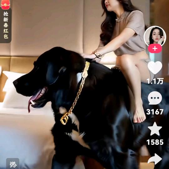 回忆