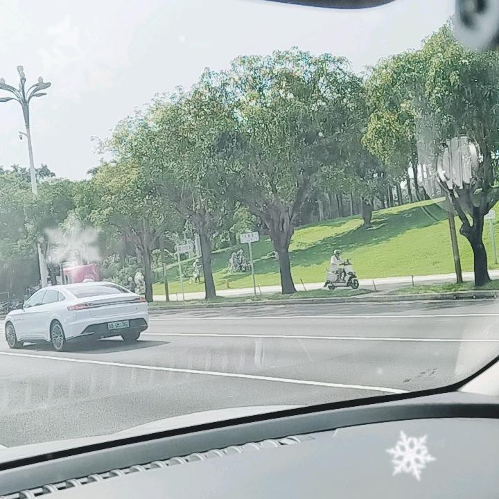 深圳哥