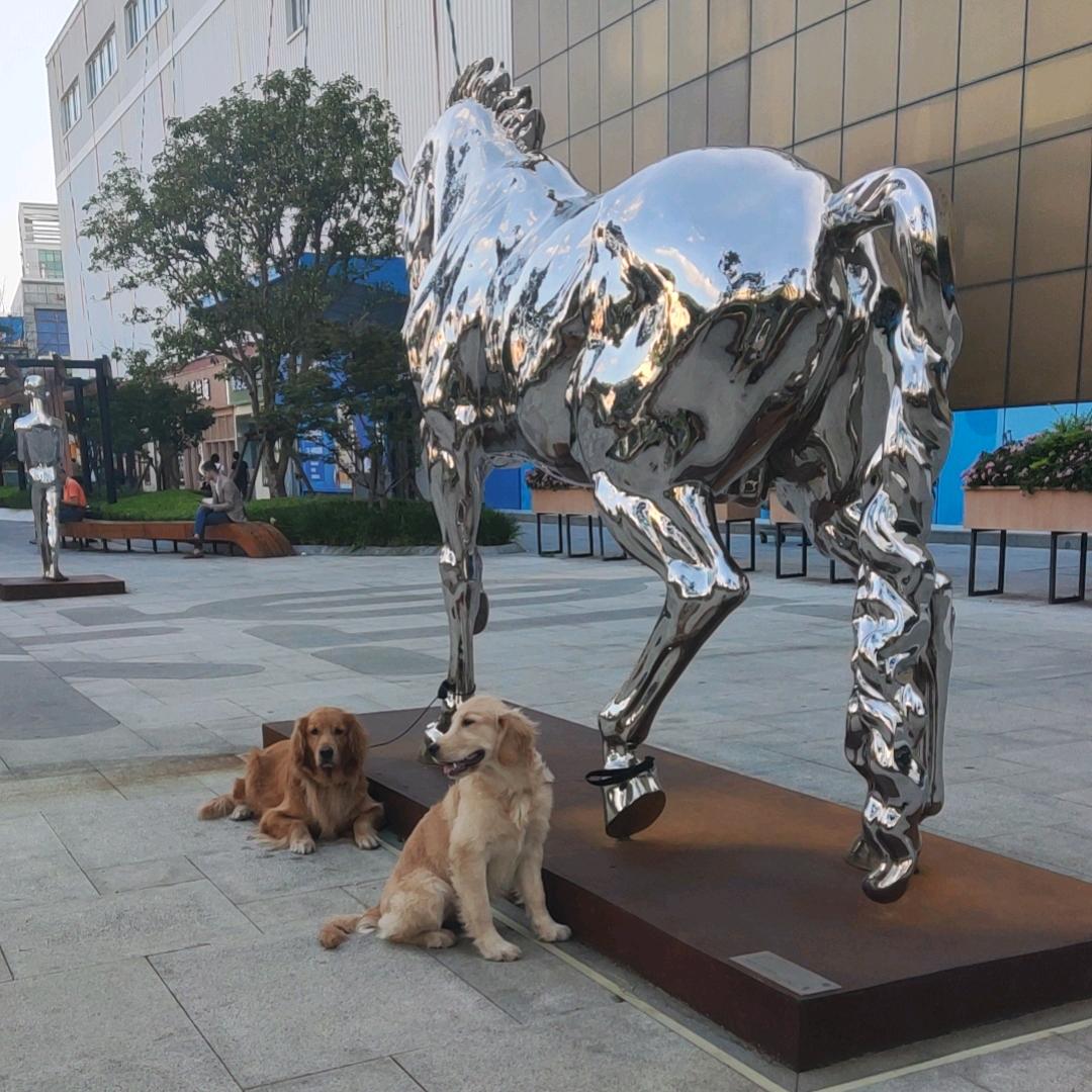 上海狗老板  半生贪嗔痴念