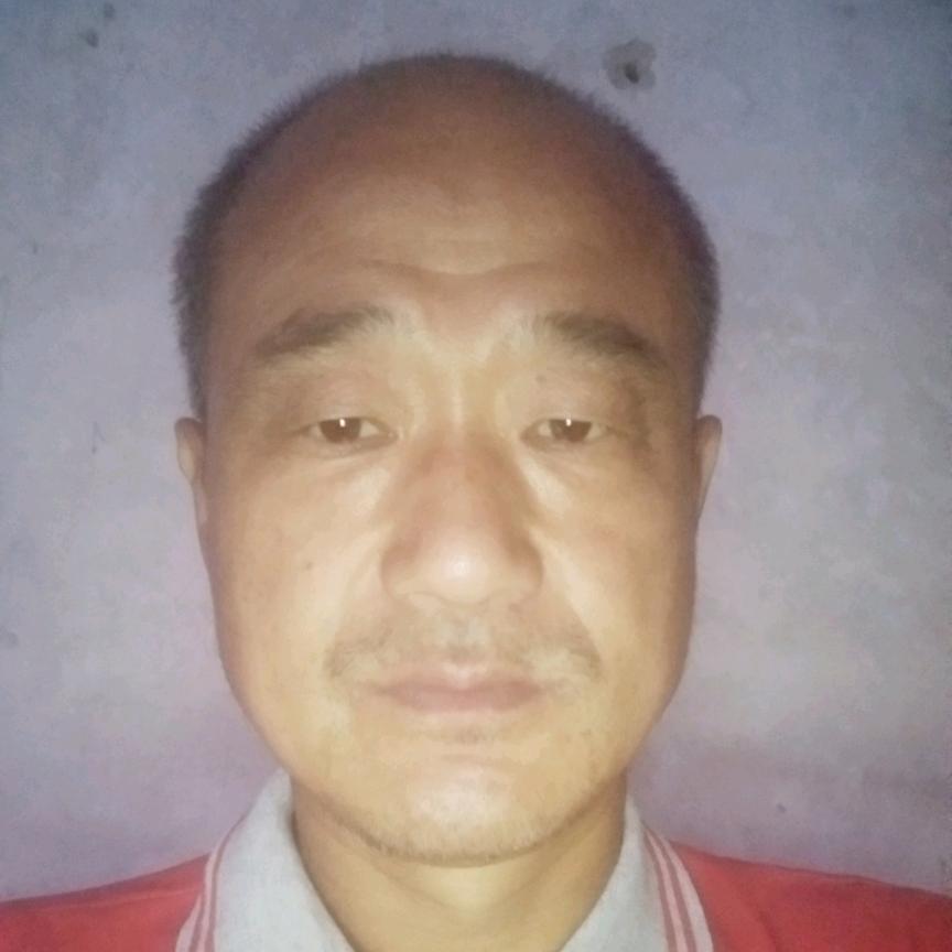 奇哥直播