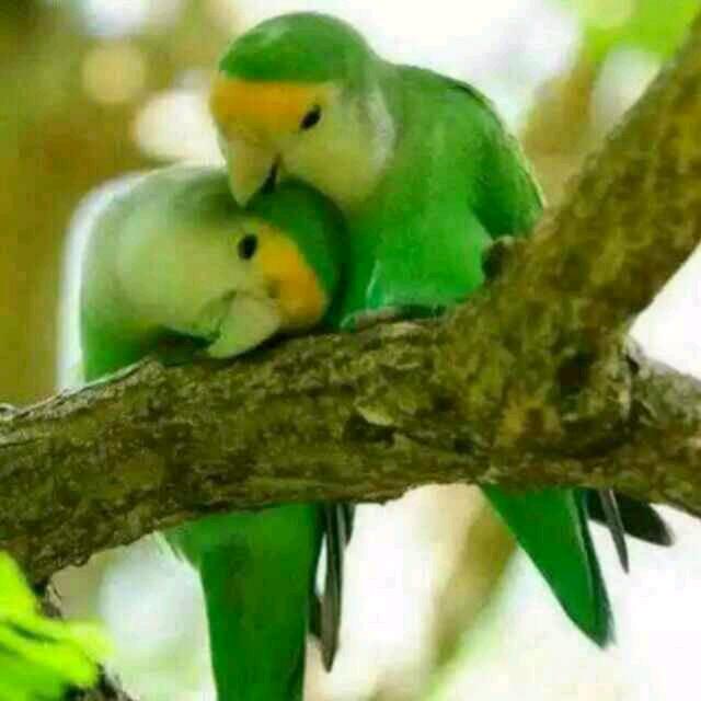 快乐都好