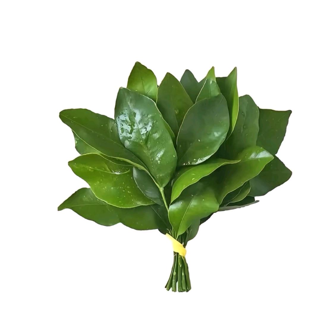 小花我就这样🍀