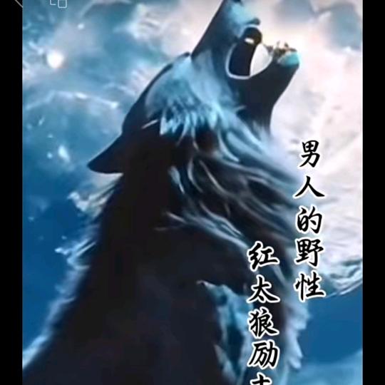 王总
