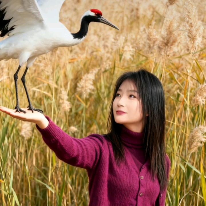 姐妹思念