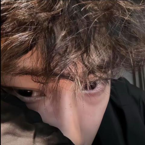 枯木怜