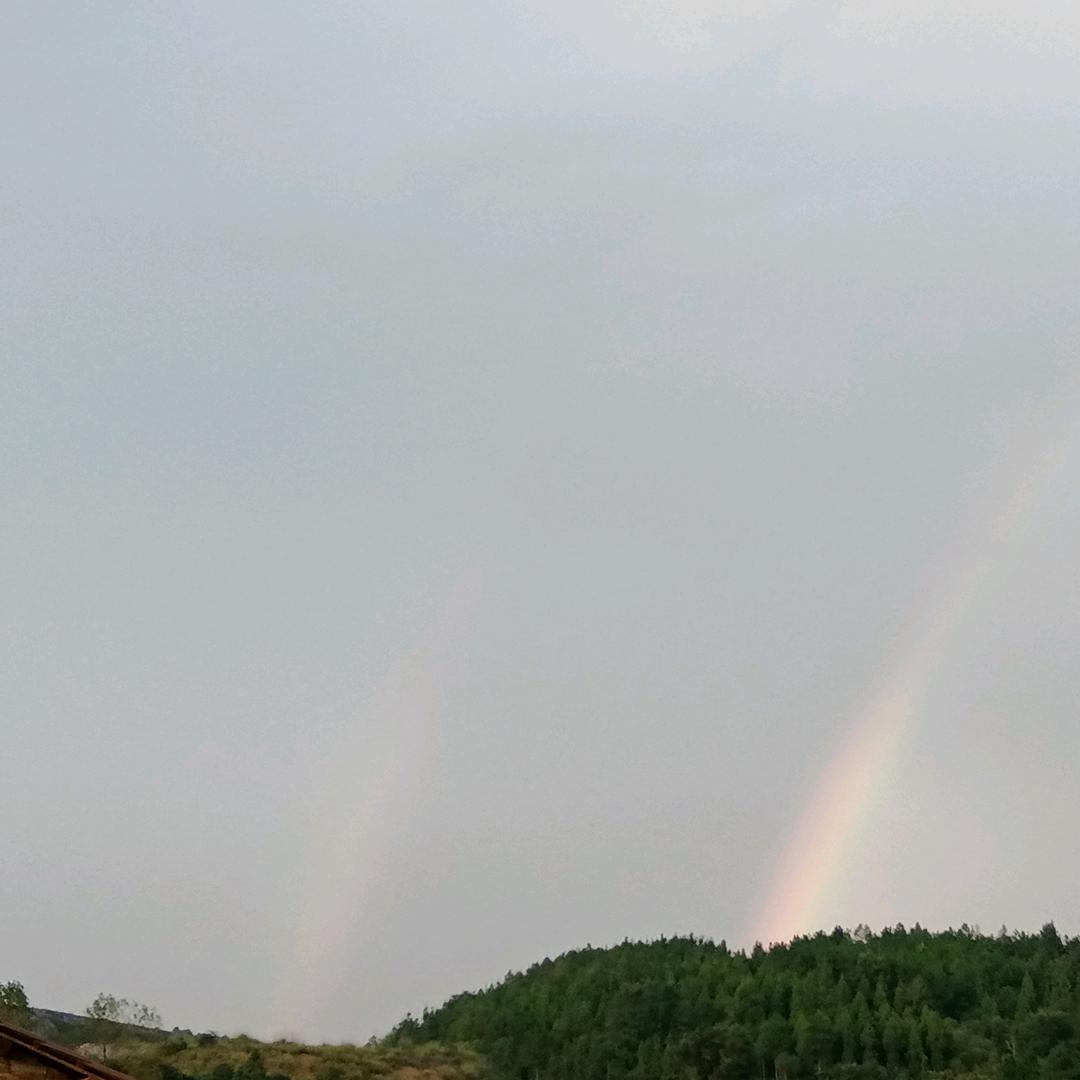 ✨🌙笑饮孤鸿(๑•̌.•̑๑)ˀ̣ˀ̣
