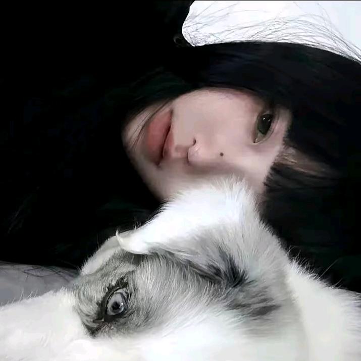 冰岛的雪