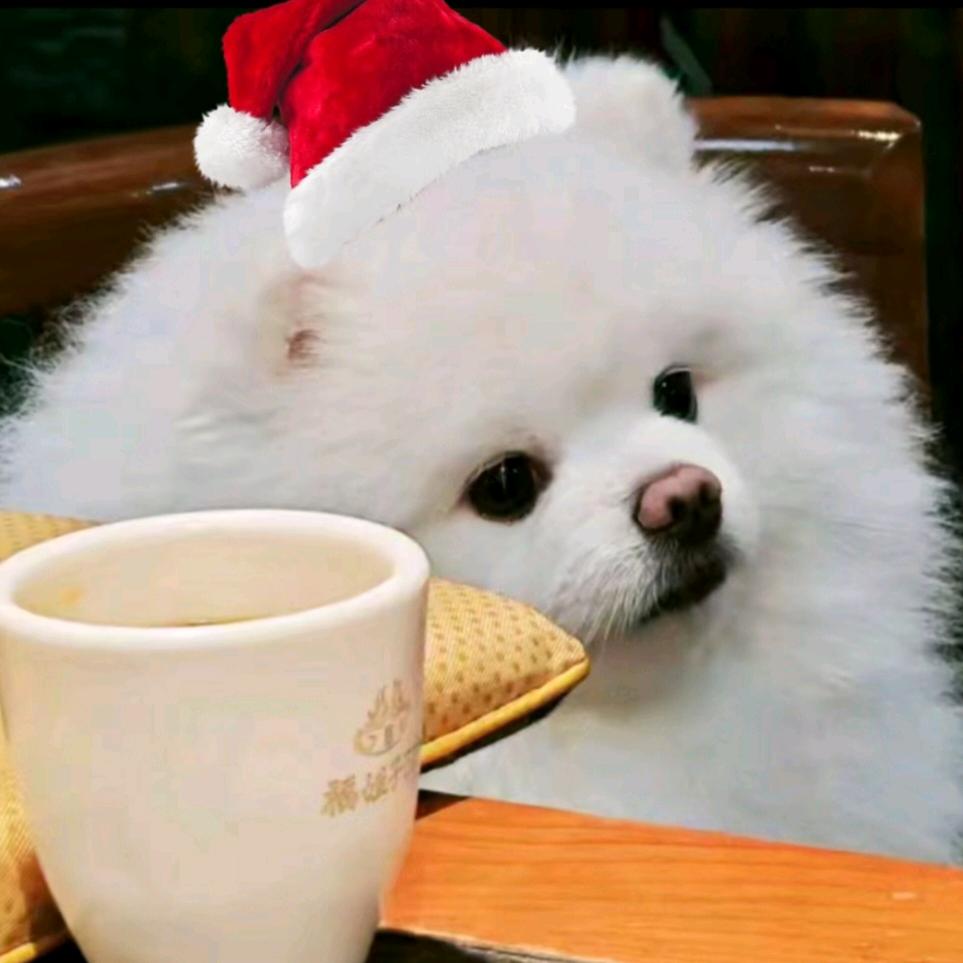 荀