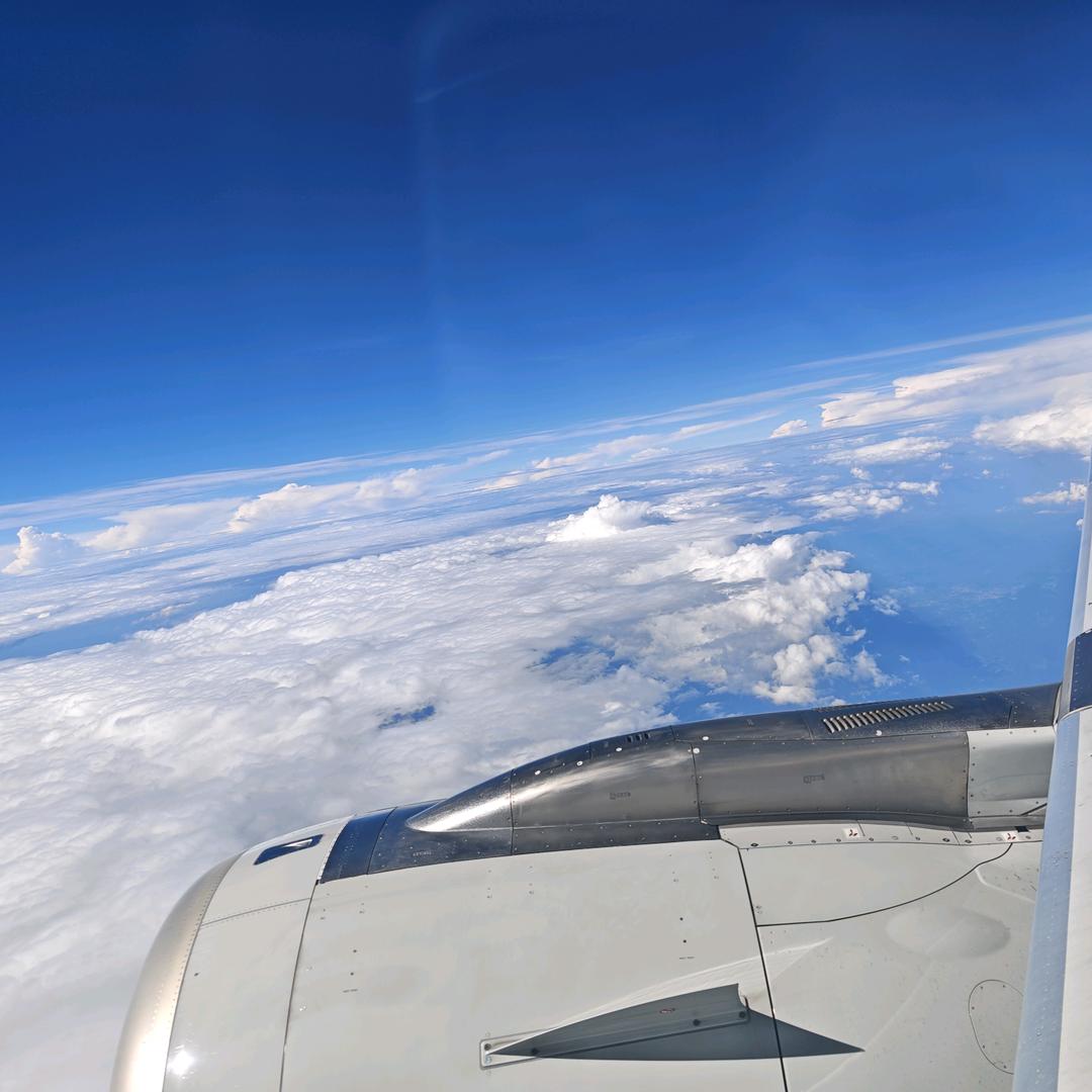 。。。。。。。。