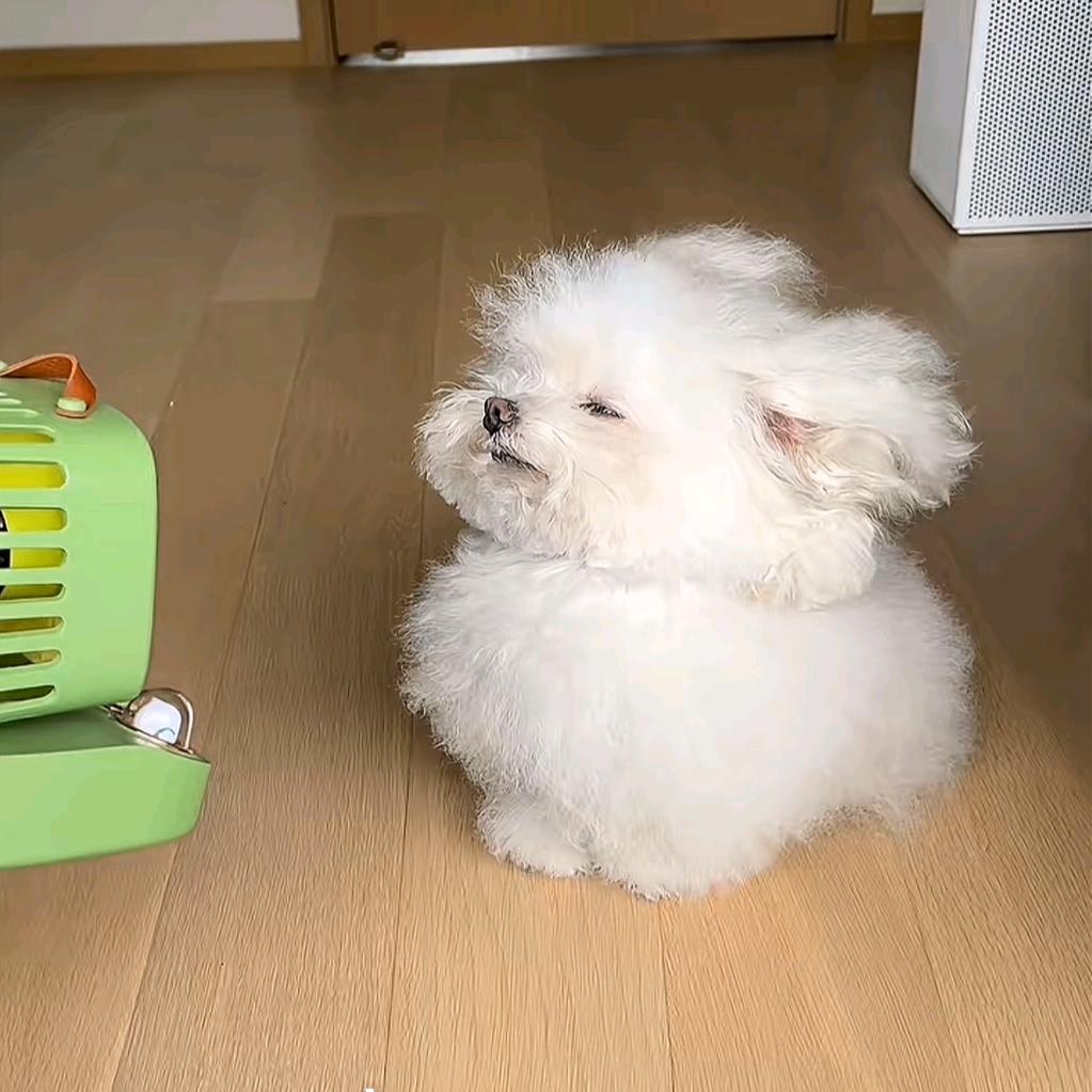 安娜卡列尼•佳