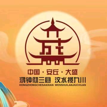 安丘村书记助农团直播间