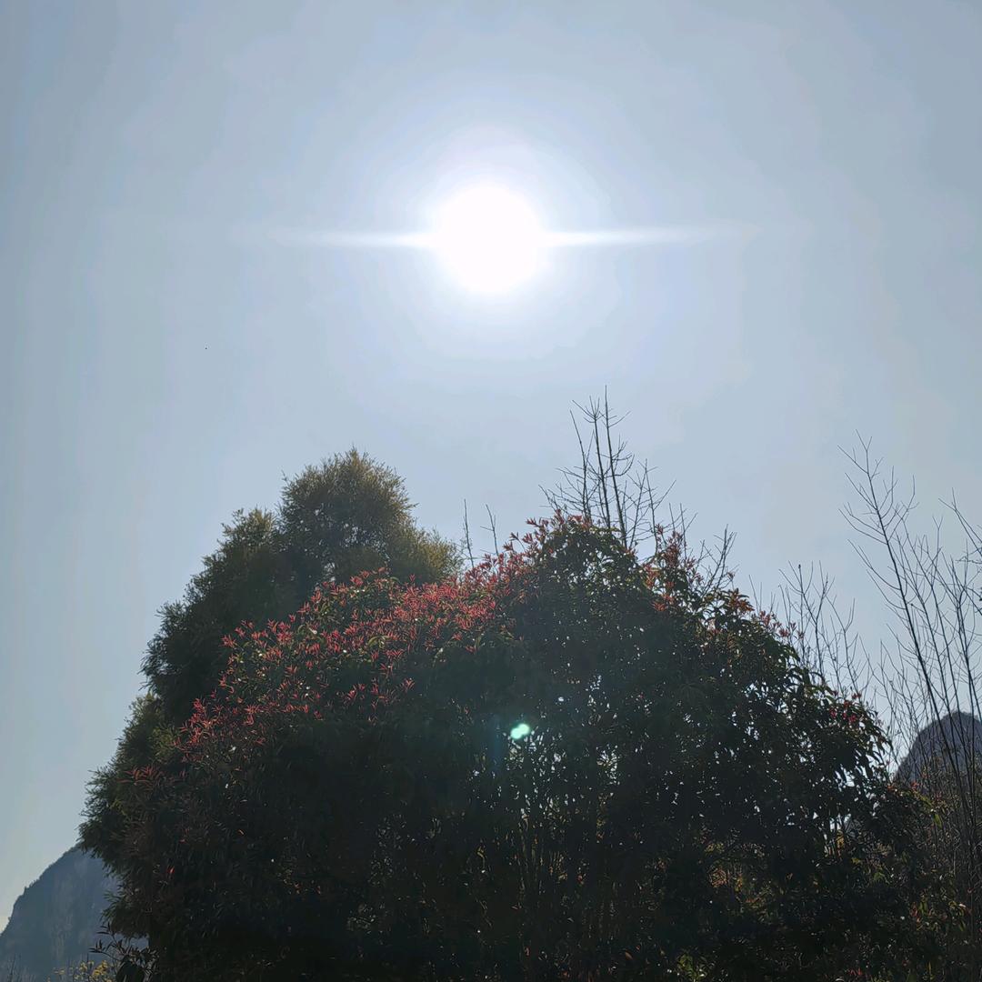 金色太阳