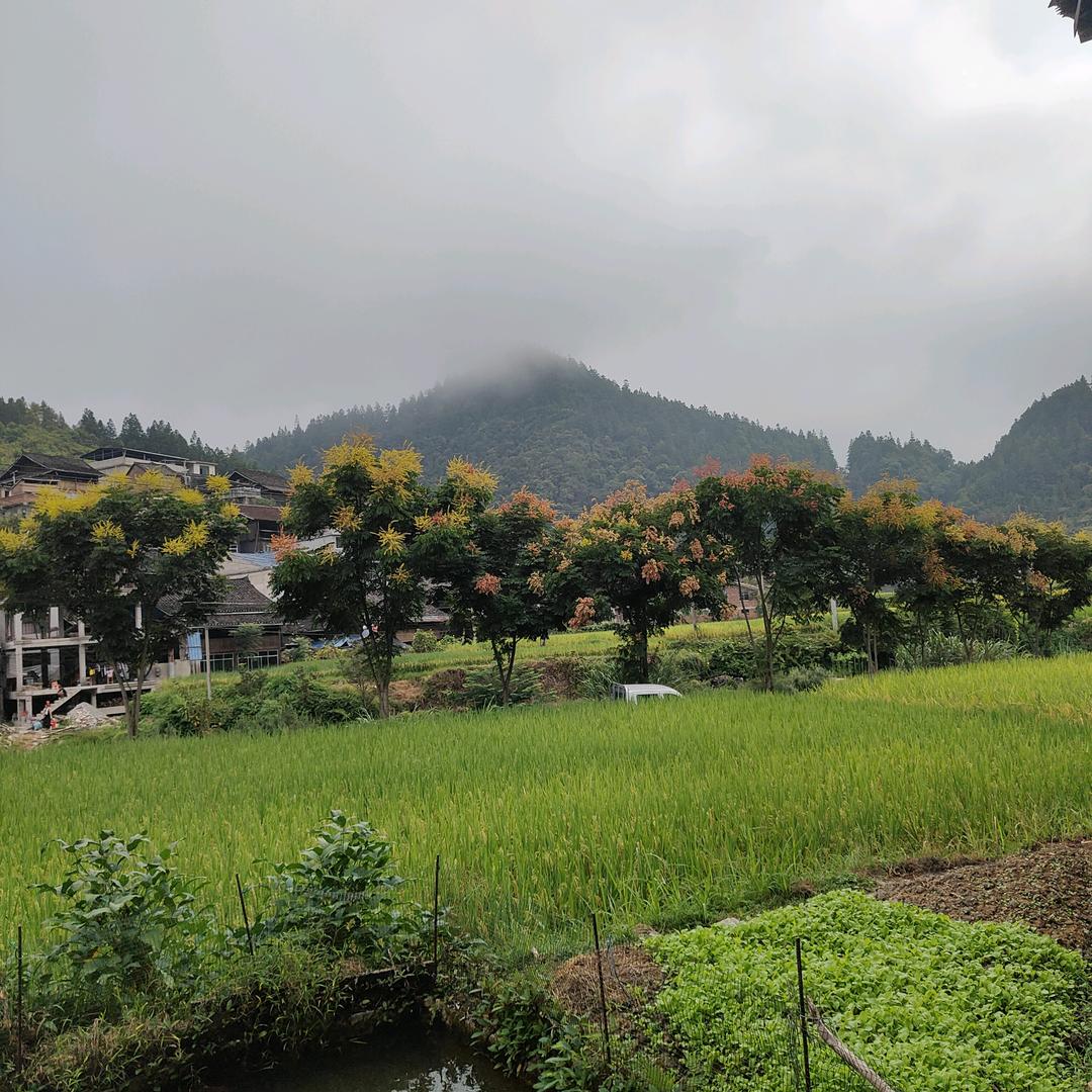 吴剑武
