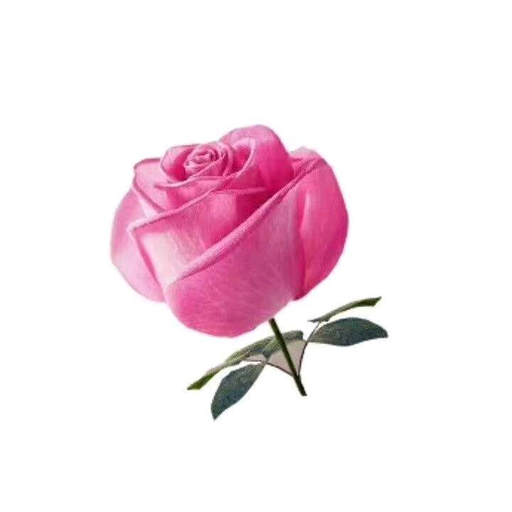 昆明梦梦鲜花批发