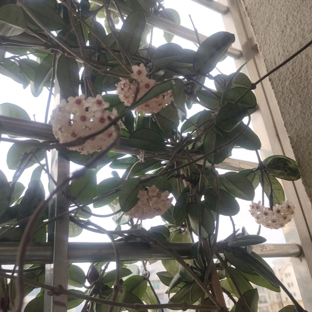 阳光。