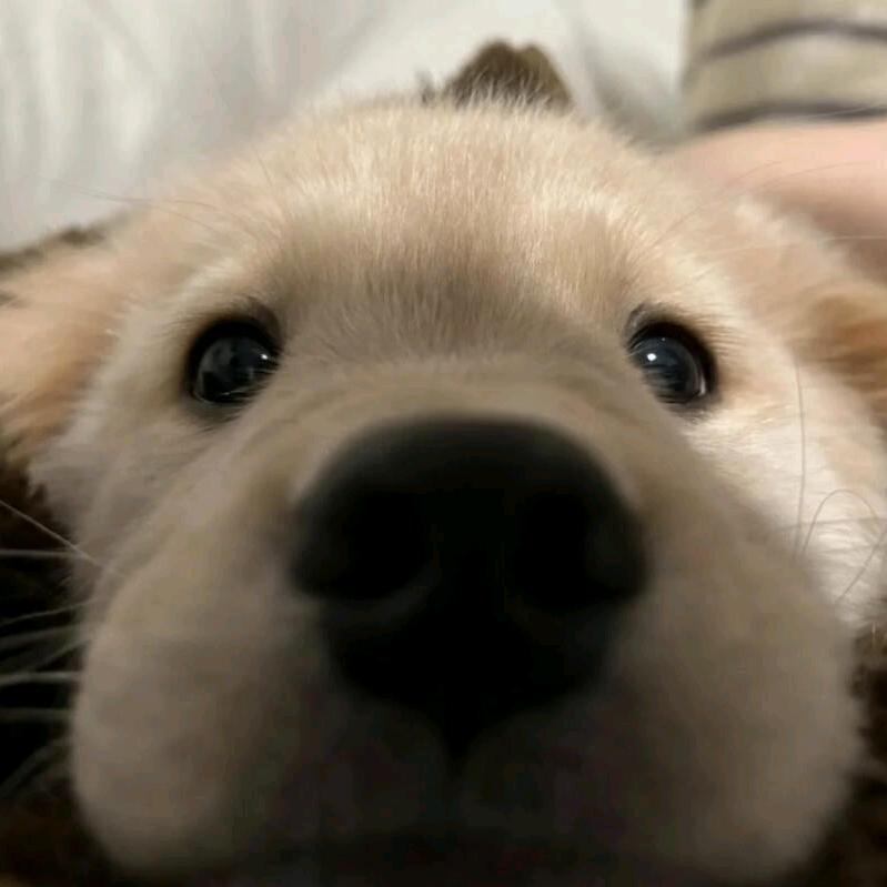zzzz