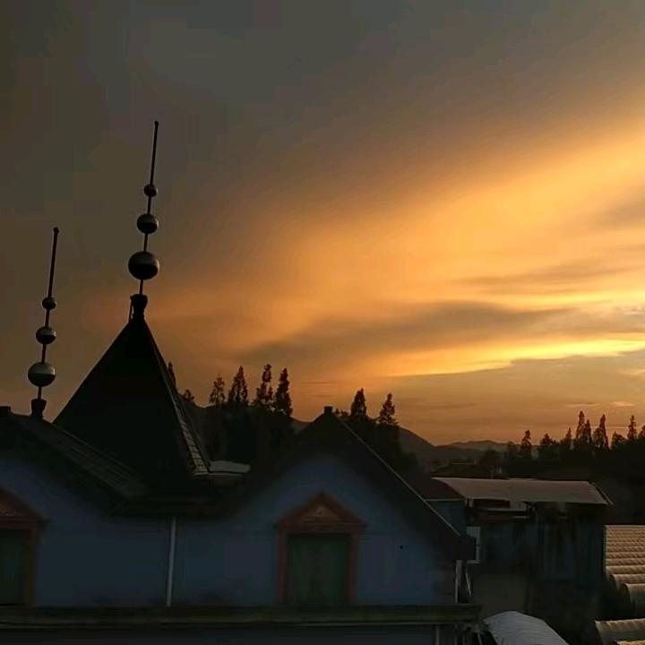 吃肉吃到菜杆杆