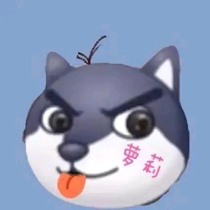 狗子老板