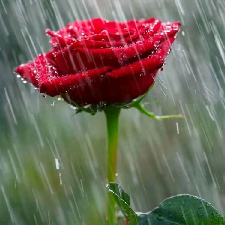 相濡以沫👨‍👩‍👦‍👦