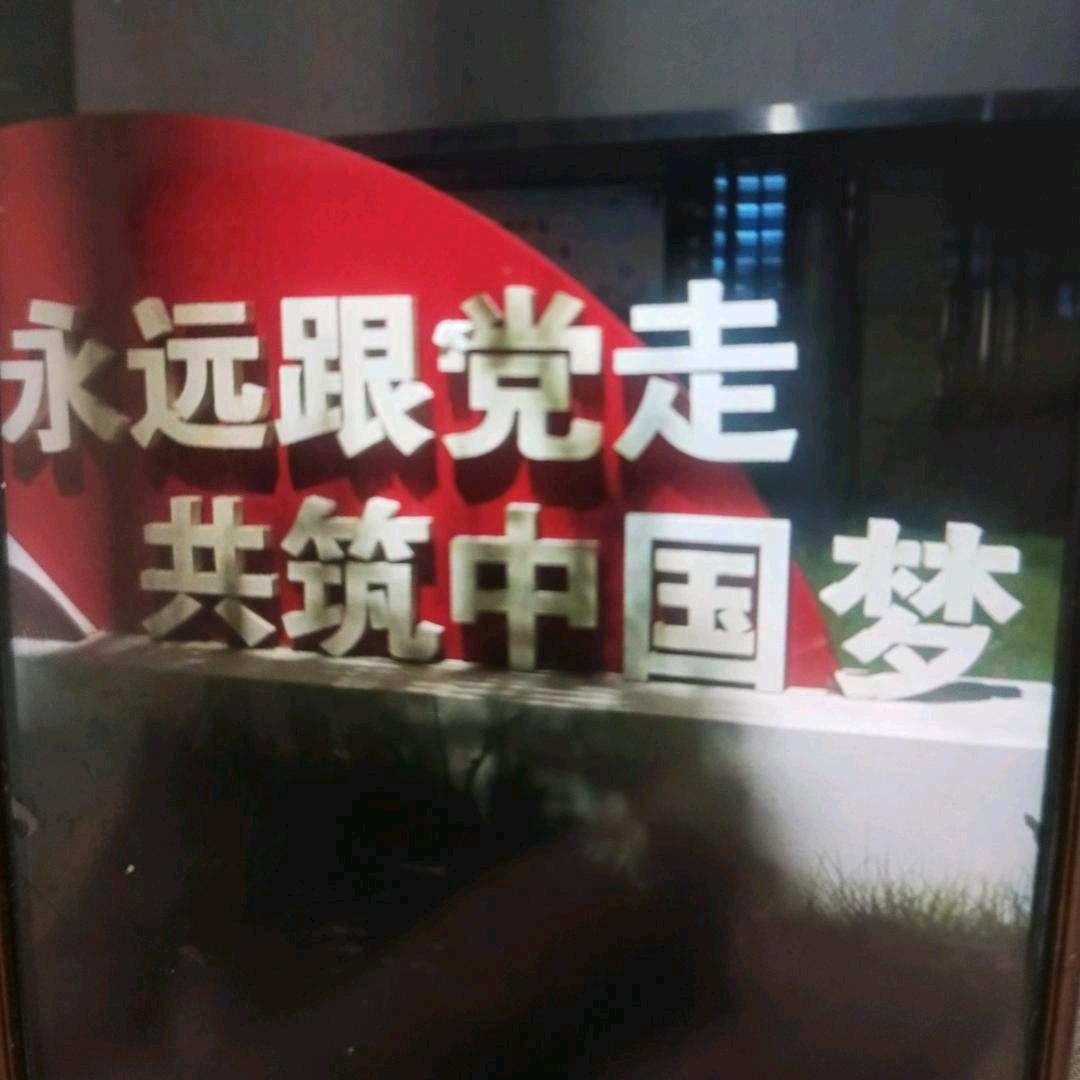 替天行道👉在原地