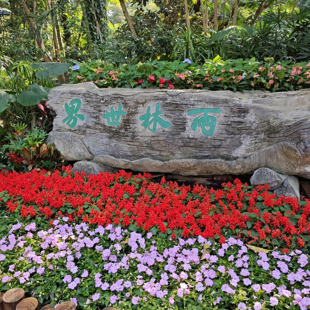 遥望远方