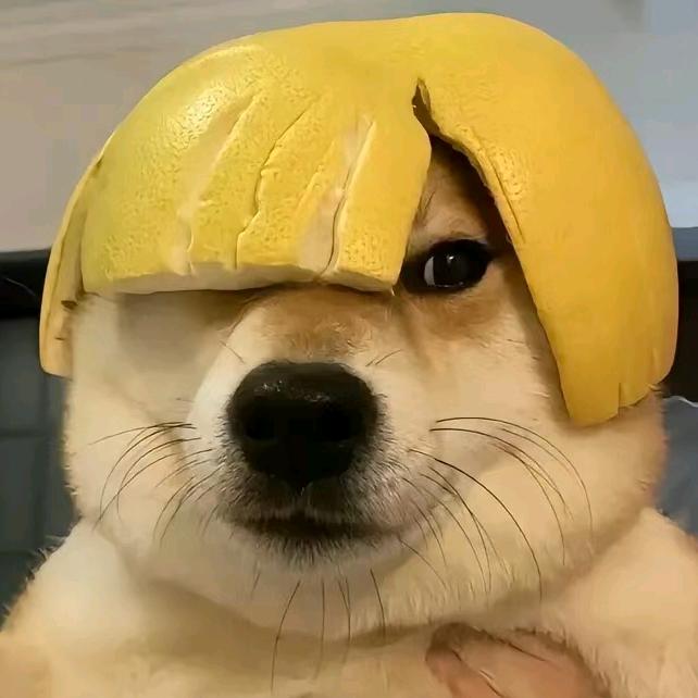ㅤㅤㅤㅤㅤ52ᴴᶻㅤㅤㅤㅤㅤ