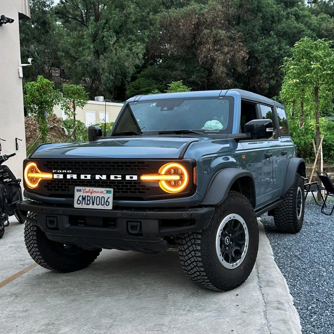 宜宾翔奕-智趣烈马