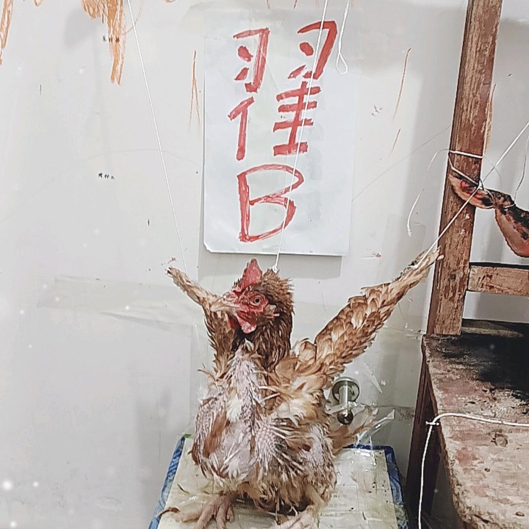 翟半拉门子