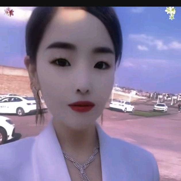 驾考咨询中心小凤凰