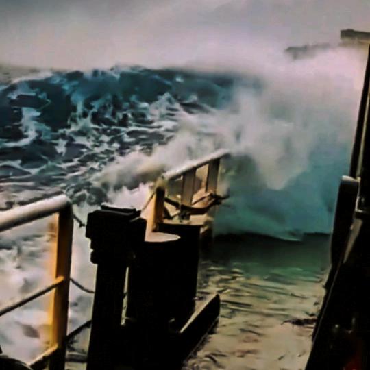 沧海漂泊