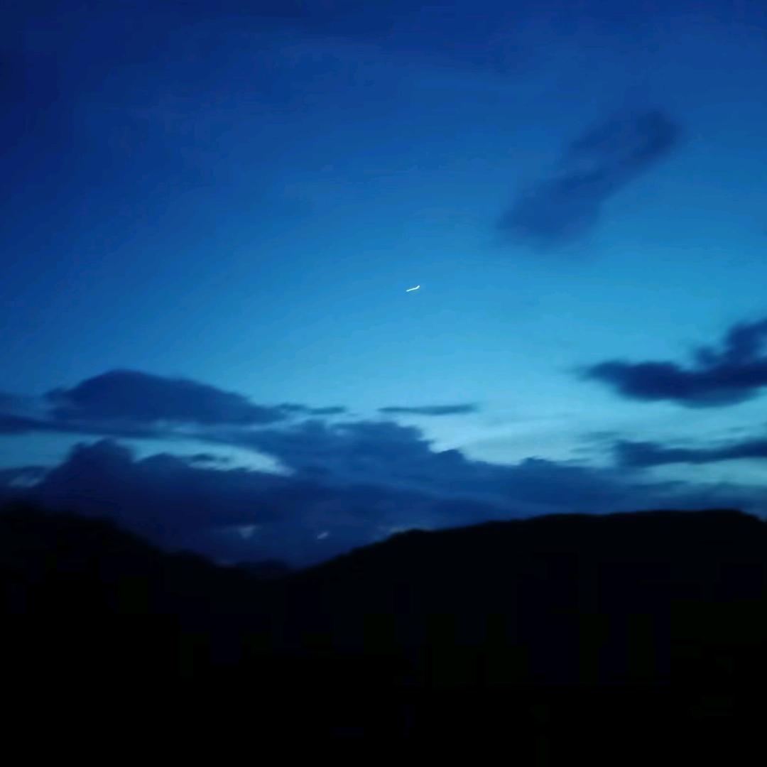 有