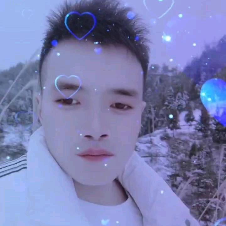 🎀人🦚间🪸🦋真🪴情🎶