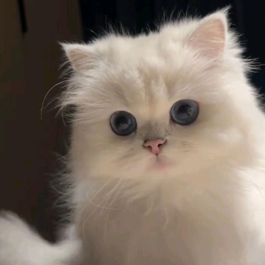 Ru