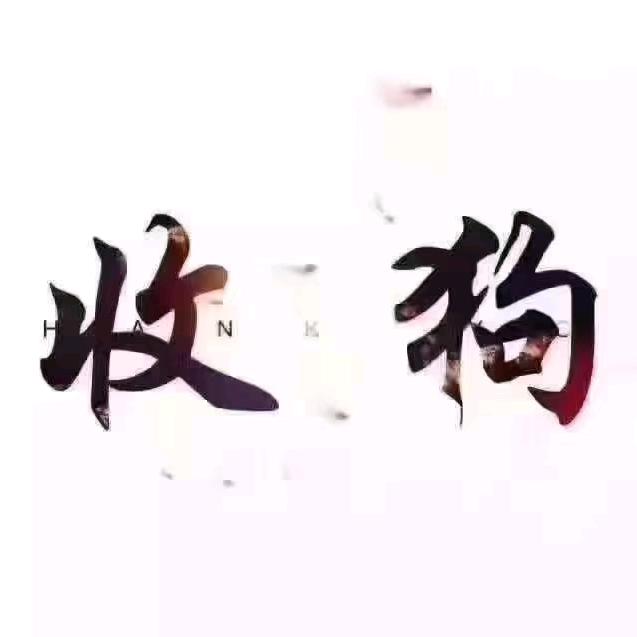 雷哥收狗