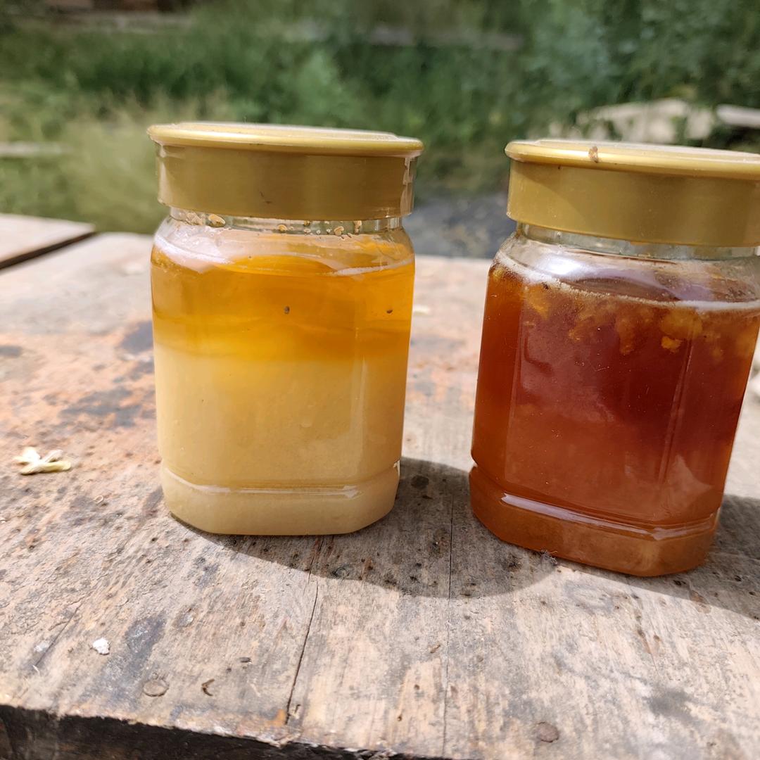 白鹿原下养蜂妹