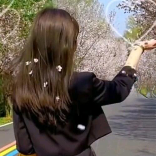 🥀এ᭄繁ꦿ星💔ོ