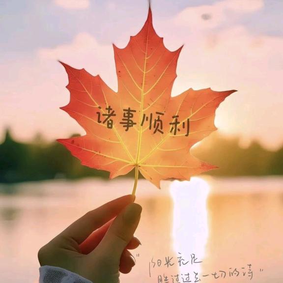旧夏浅入梦