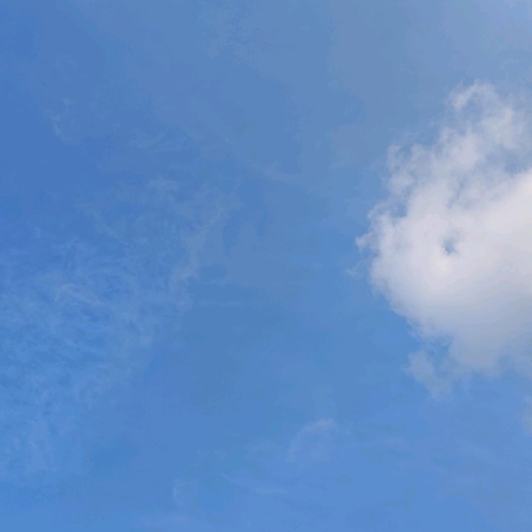 壮哥的生活